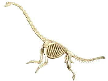 4d Puzzle Dinozaur Jurassic Asamblarea Scheletului Animal de Jucărie Anatomiei Organelor Medicale Modelul de Predare